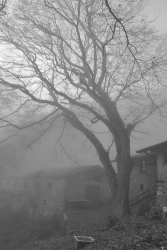 Malga Valle im Nebel