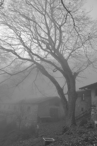 Malga Valle im Nebel