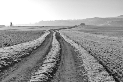 Feldweg bei Frost